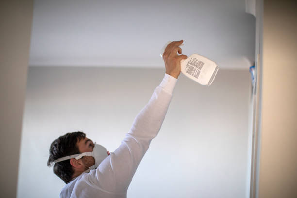 Best Best Mold Removal Companies  in Hyrum, UT