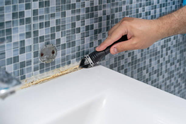 Best Affordable Mold Removal  in Hyrum, UT