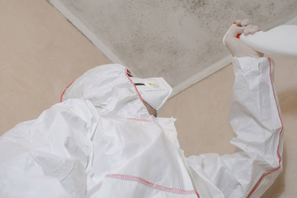 Best Mold Testing  in Hyrum, UT